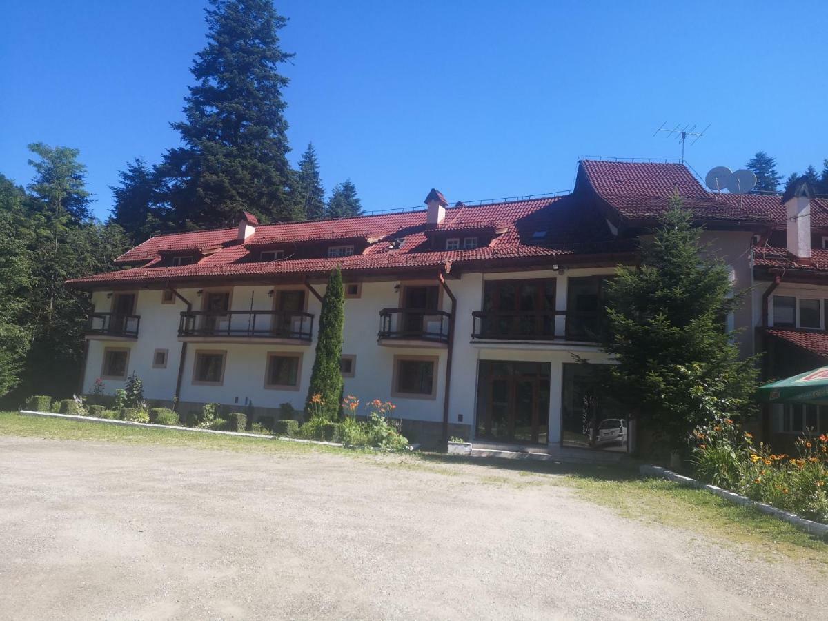 Hotel Floarea Reginei Statiunea Climaterica Sambata Exteriér fotografie