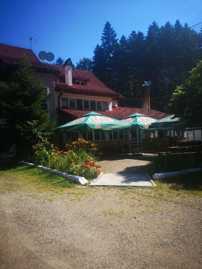 Hotel Floarea Reginei Statiunea Climaterica Sambata Exteriér fotografie