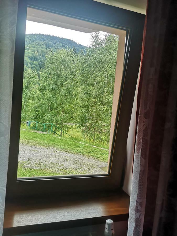 Hotel Floarea Reginei Statiunea Climaterica Sambata Exteriér fotografie