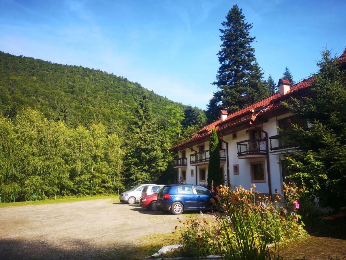 Hotel Floarea Reginei Statiunea Climaterica Sambata Exteriér fotografie